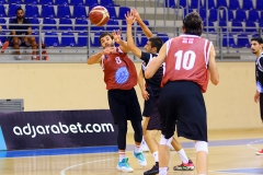 PDL-vera-kaktusi-12